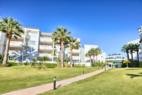 Playa Rocio Landscaping